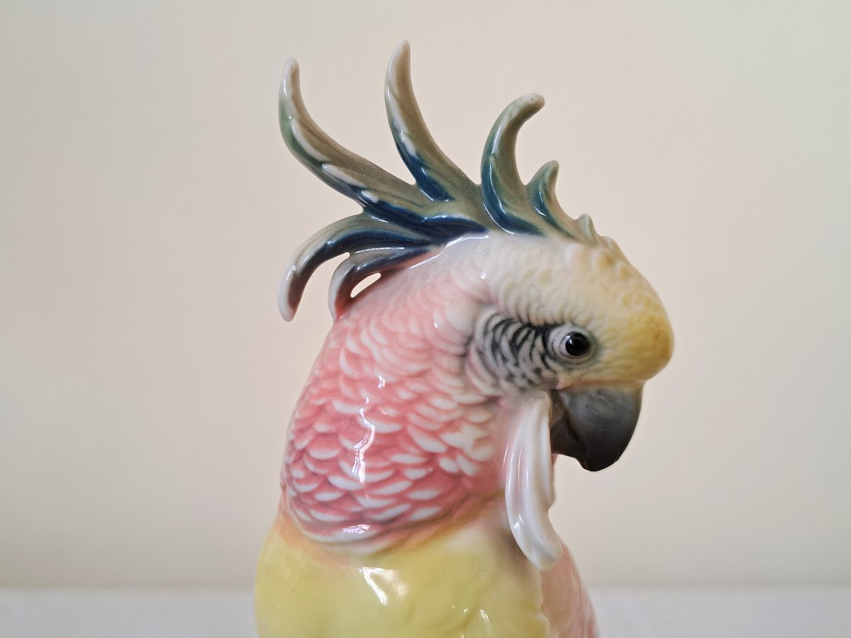 Karl Ens German Porcelain Parrot-photo-3
