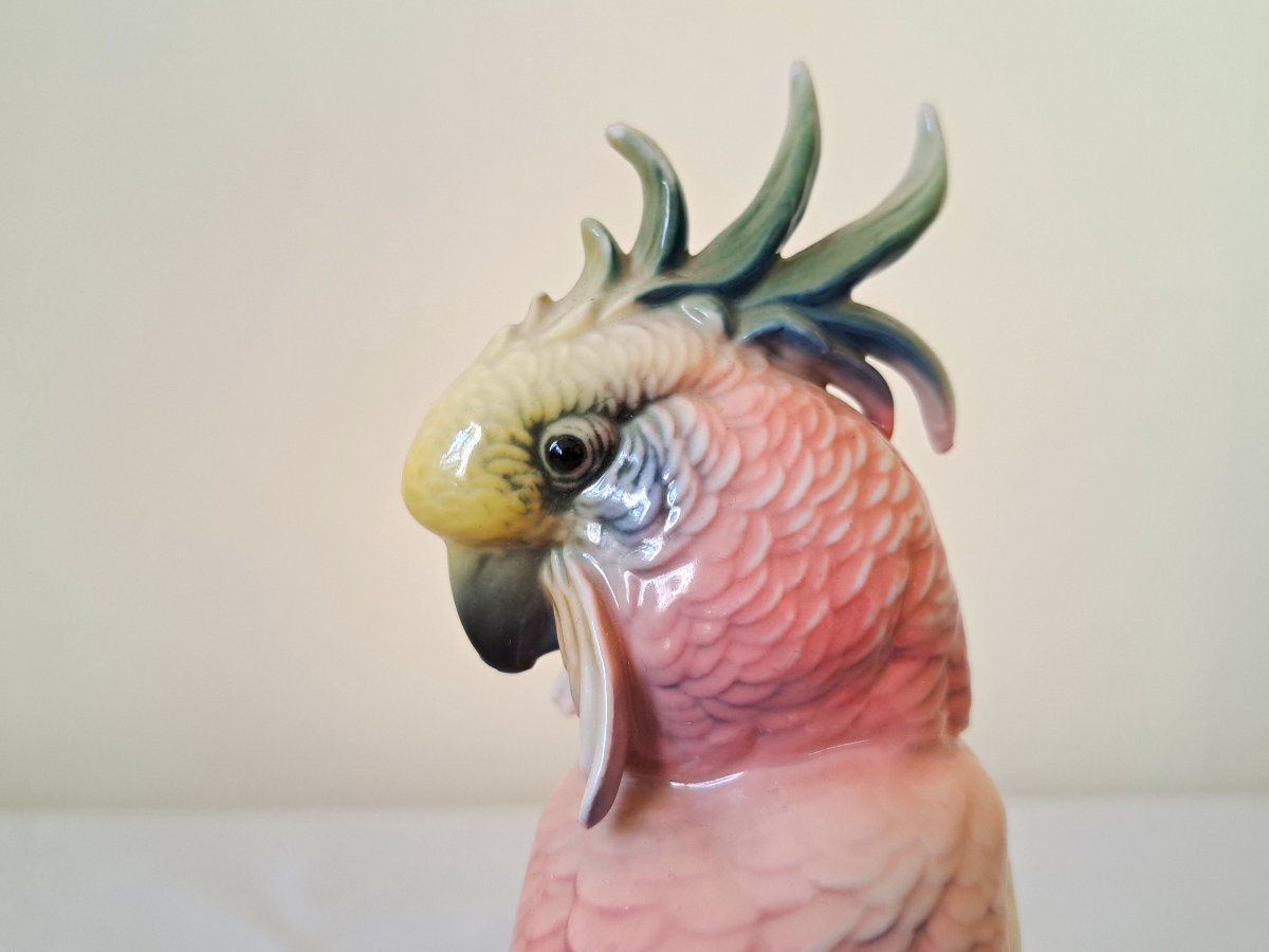 Karl Ens German Porcelain Parrot-photo-4