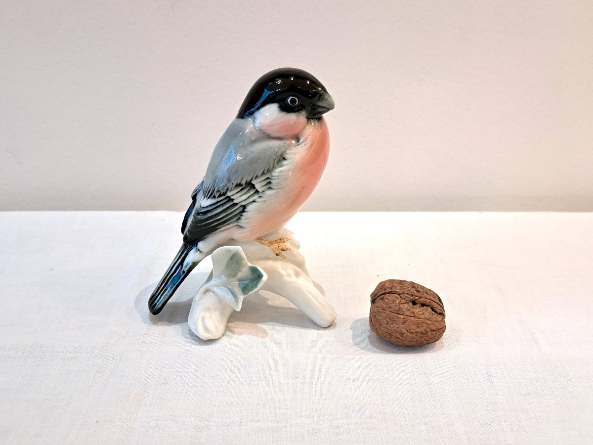 Bullfinch Bird In German Porcelain By Karl Ens-photo-2