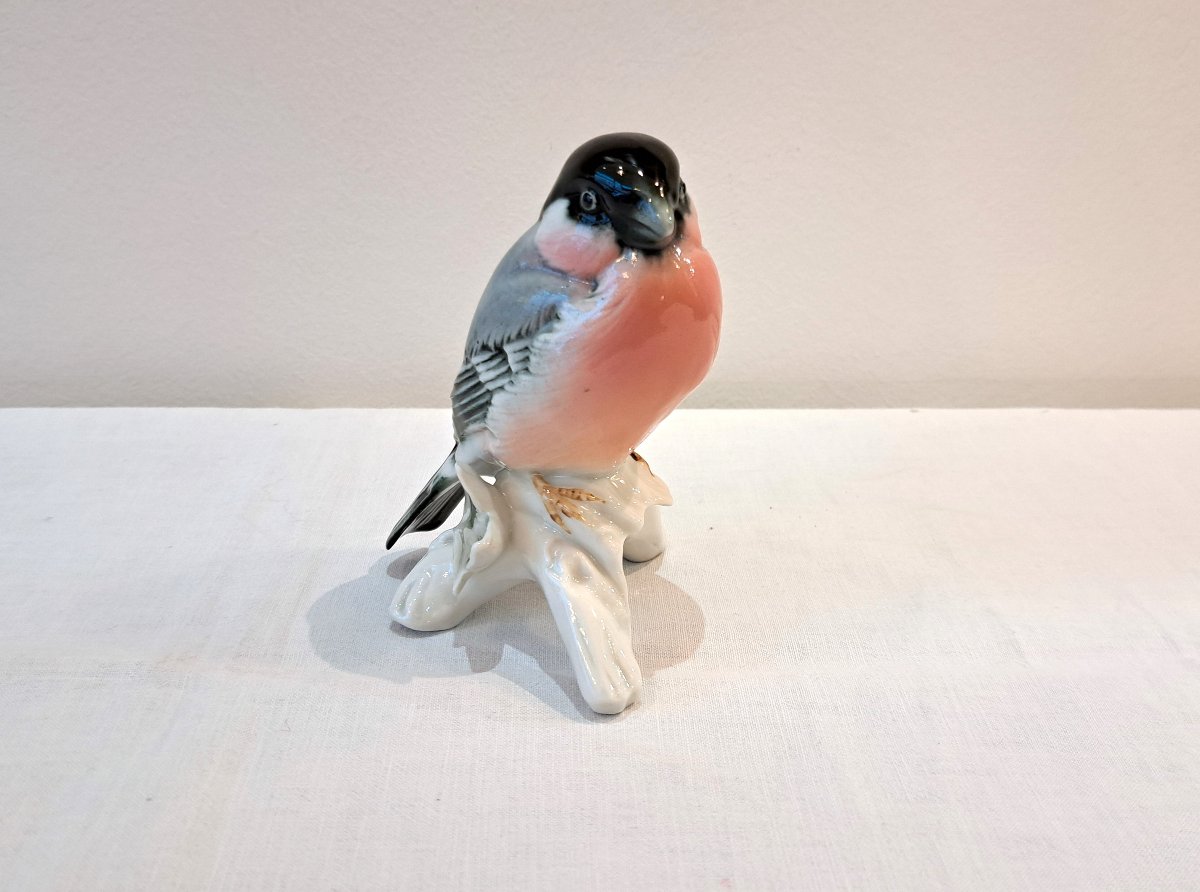 Bullfinch Bird In German Porcelain By Karl Ens-photo-3