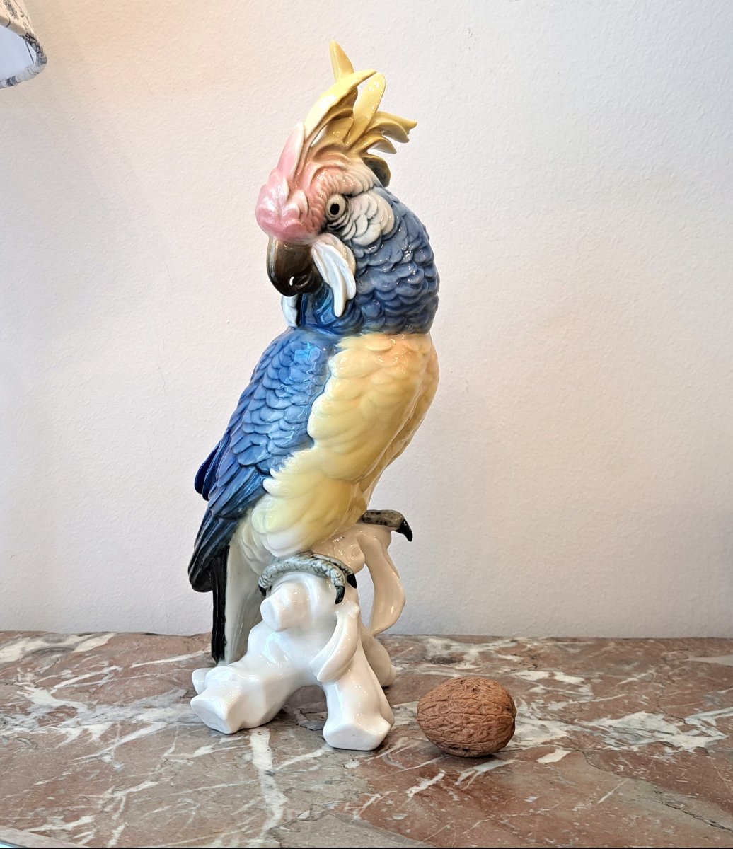 Karl Ens German Porcelain Blue Parrot, 27 Cm-photo-2