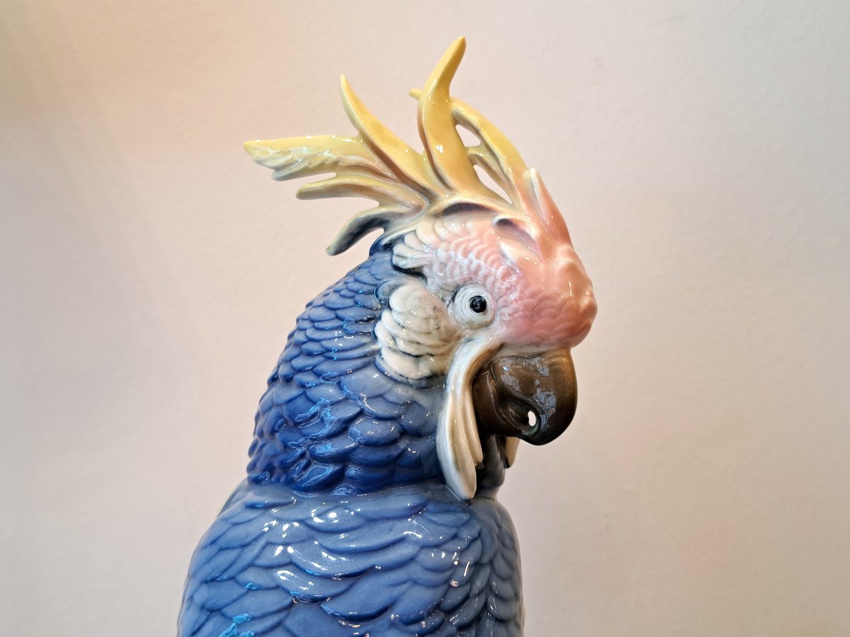 Karl Ens German Porcelain Blue Parrot, 27 Cm-photo-4