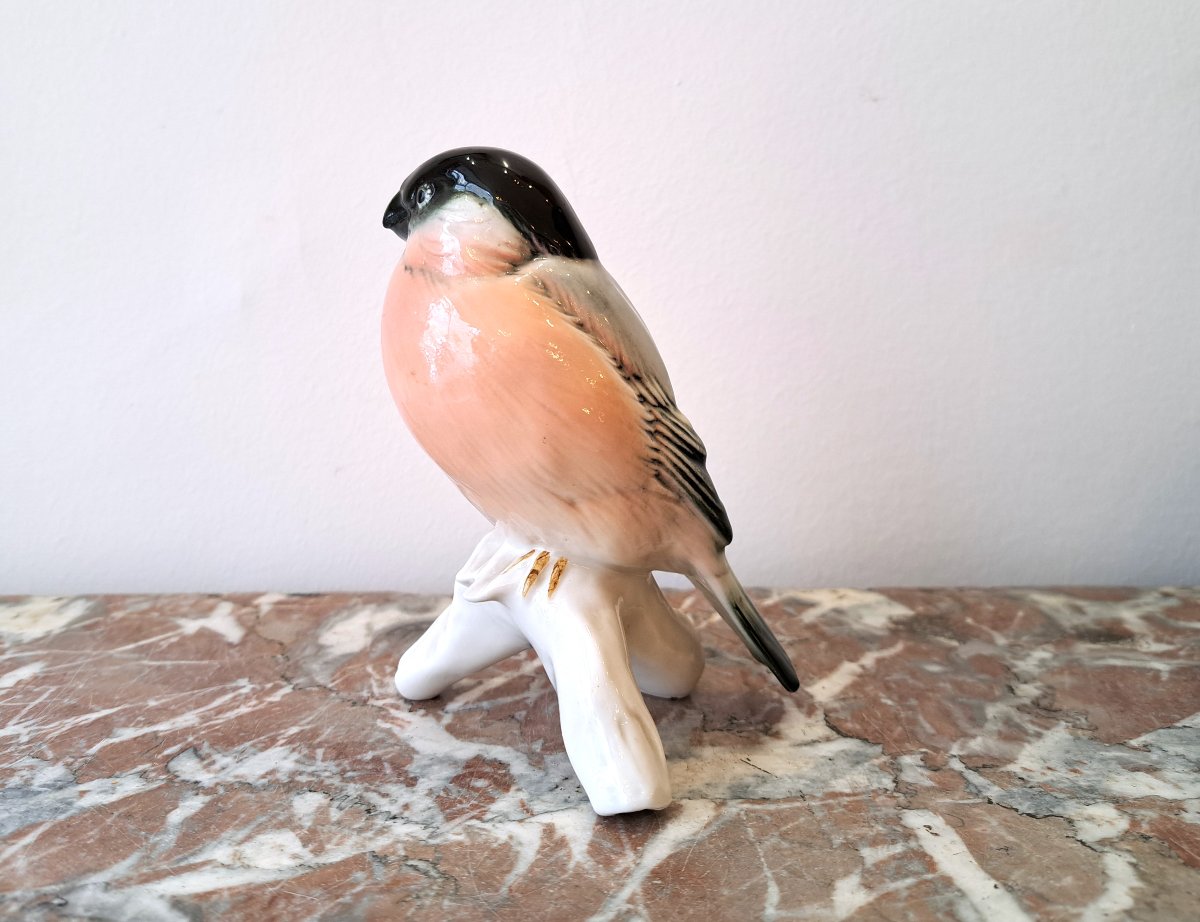 Bullfinch Bird In German Porcelain By Karl Ens-photo-2