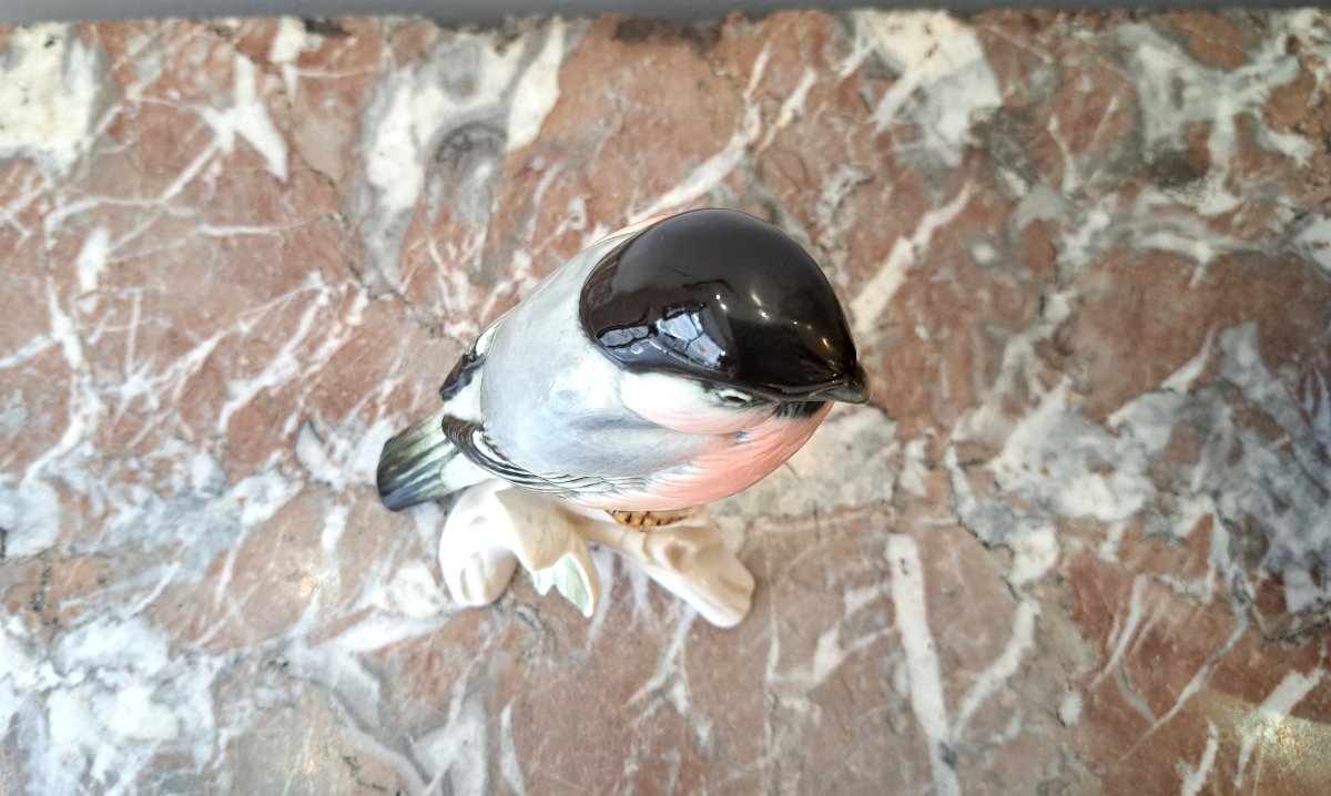 Bullfinch Bird In German Porcelain By Karl Ens-photo-3
