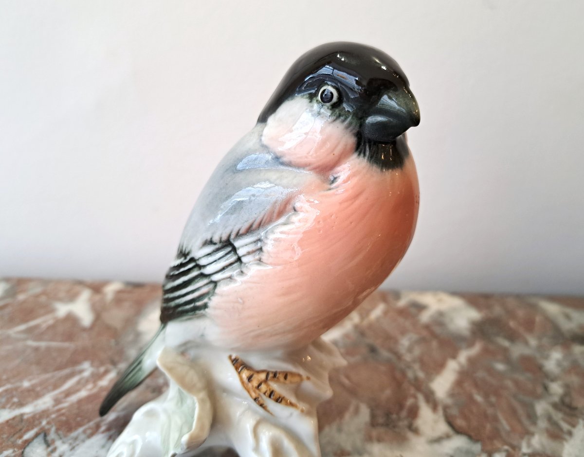 Bullfinch Bird In German Porcelain By Karl Ens-photo-4