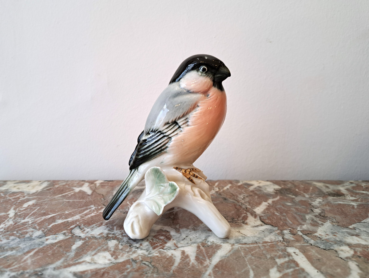 Bullfinch Bird In German Porcelain By Karl Ens