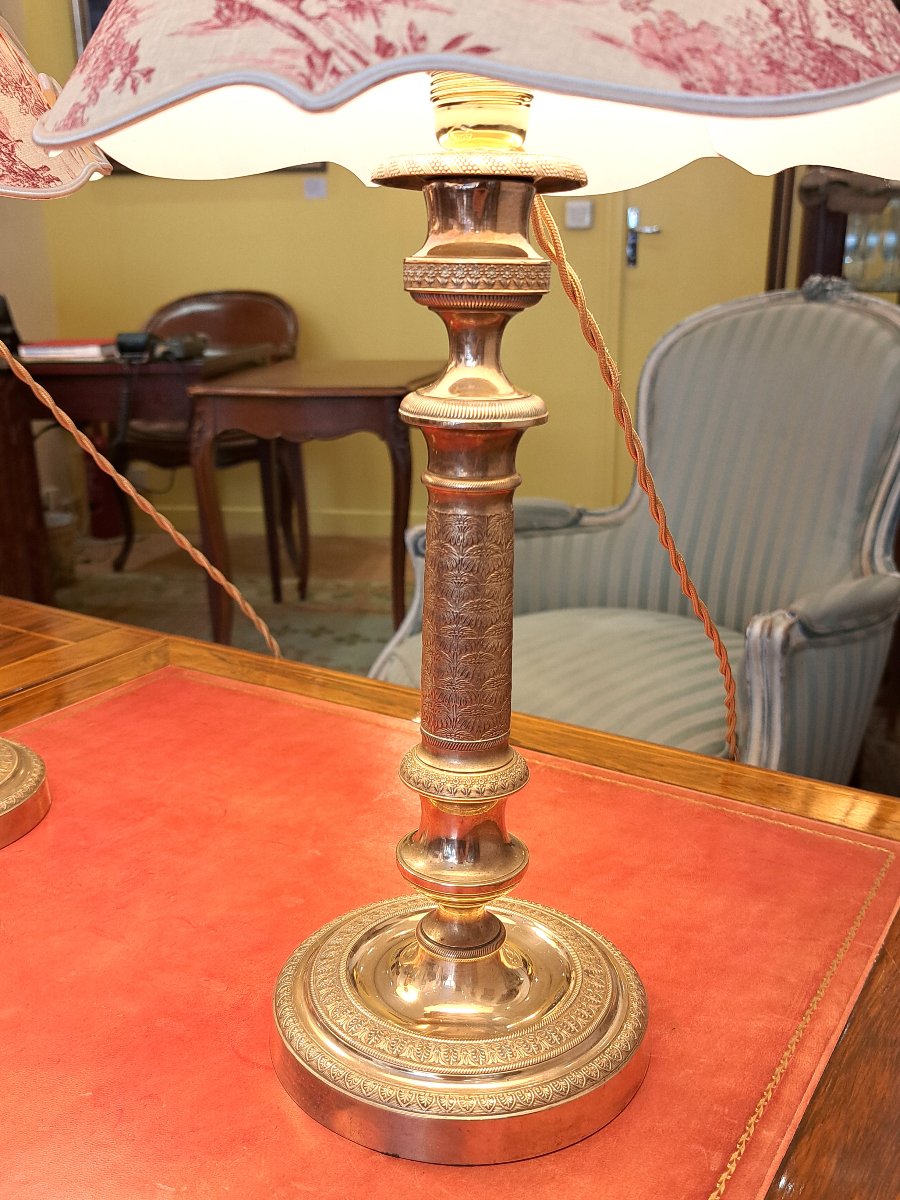Pair Of 19th Century Gilt Bronze Toile De Jouy Lamps-photo-2