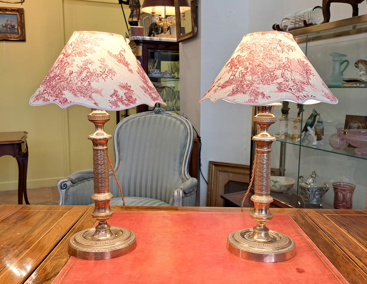 Pair Of 19th Century Gilt Bronze Toile De Jouy Lamps