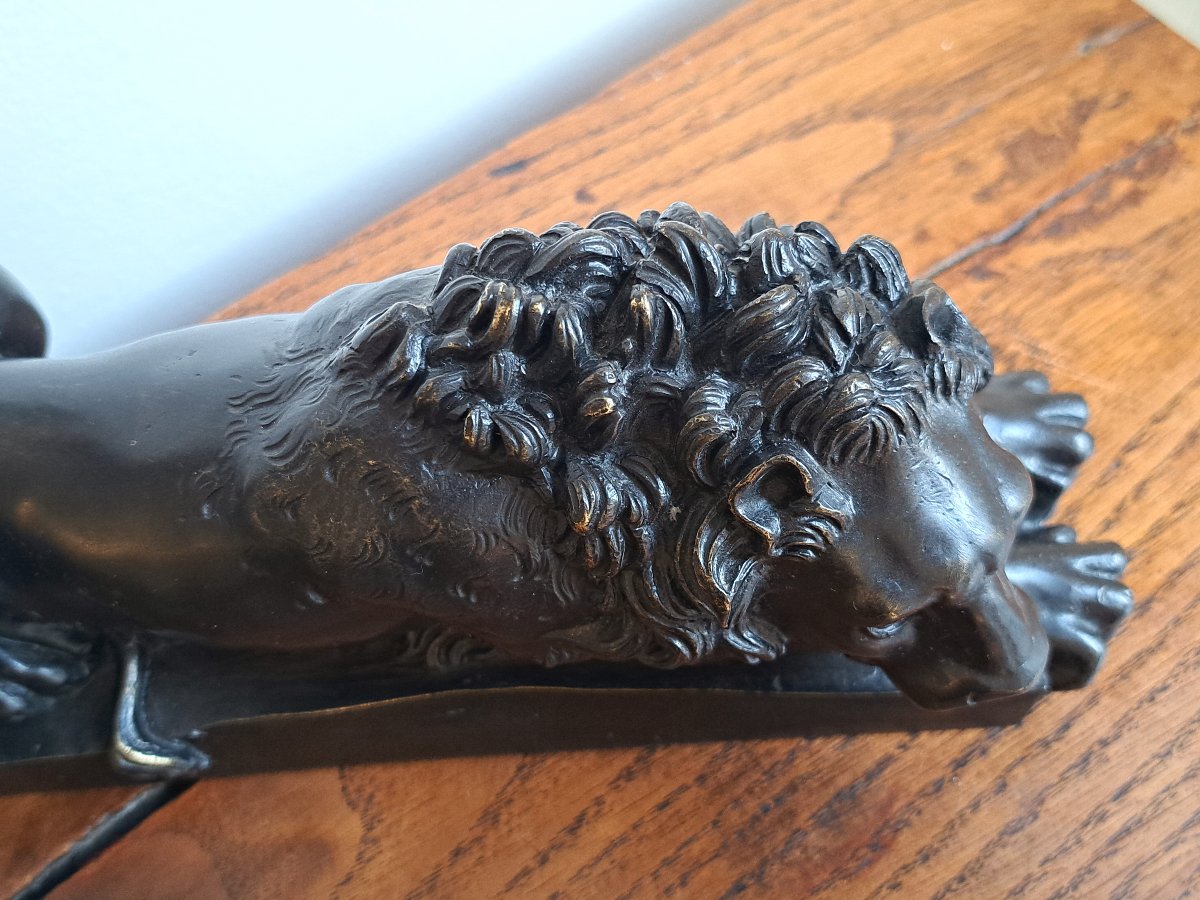 Lion couché en bronze d’après Antonio Canova-photo-4