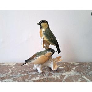Pair Of Siskins In German Porcelain By Karl Ens