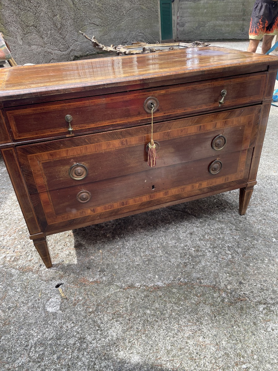 Inlaid Como Genes Louis XVI -photo-4