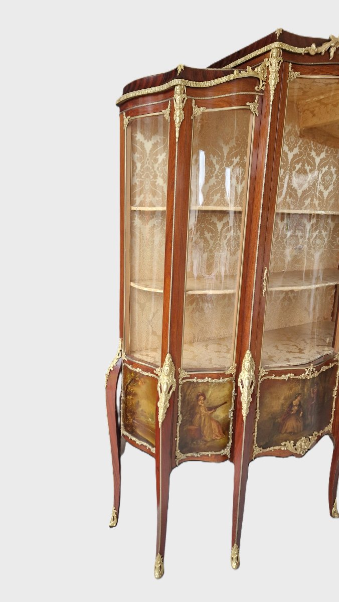 Vitrine Fin XIXème siècle à Cinq Panneaux-photo-4