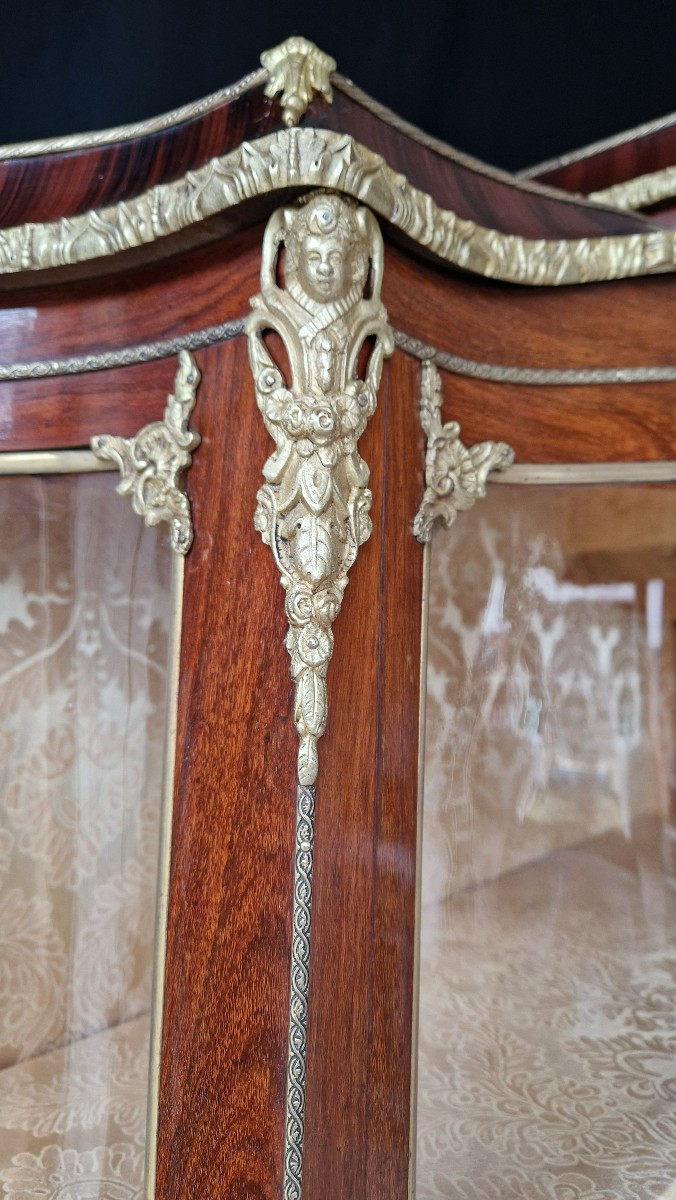 Vitrine Fin XIXème siècle à Cinq Panneaux-photo-3