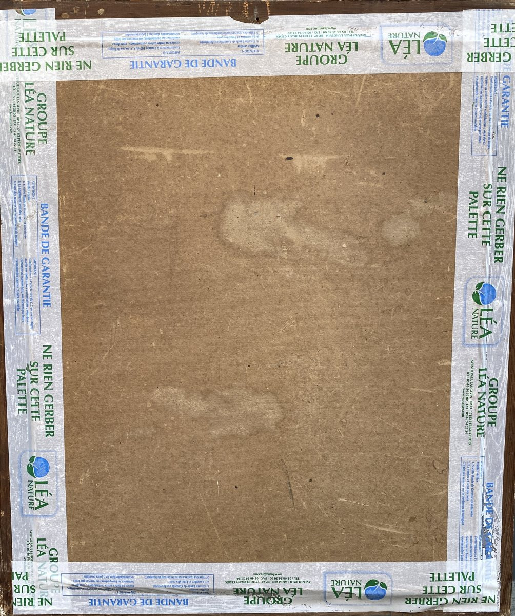 Pierre Fréon XXème siècle Gargouilles Notre Dame de Paris -photo-2