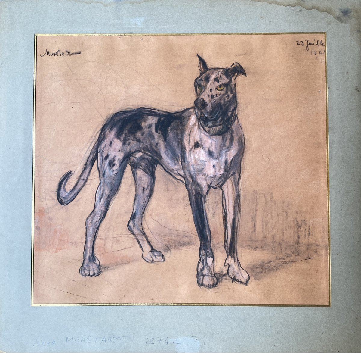 Anna Morstadt (1874-1946) Autrichienne Dogue Allemand -photo-2