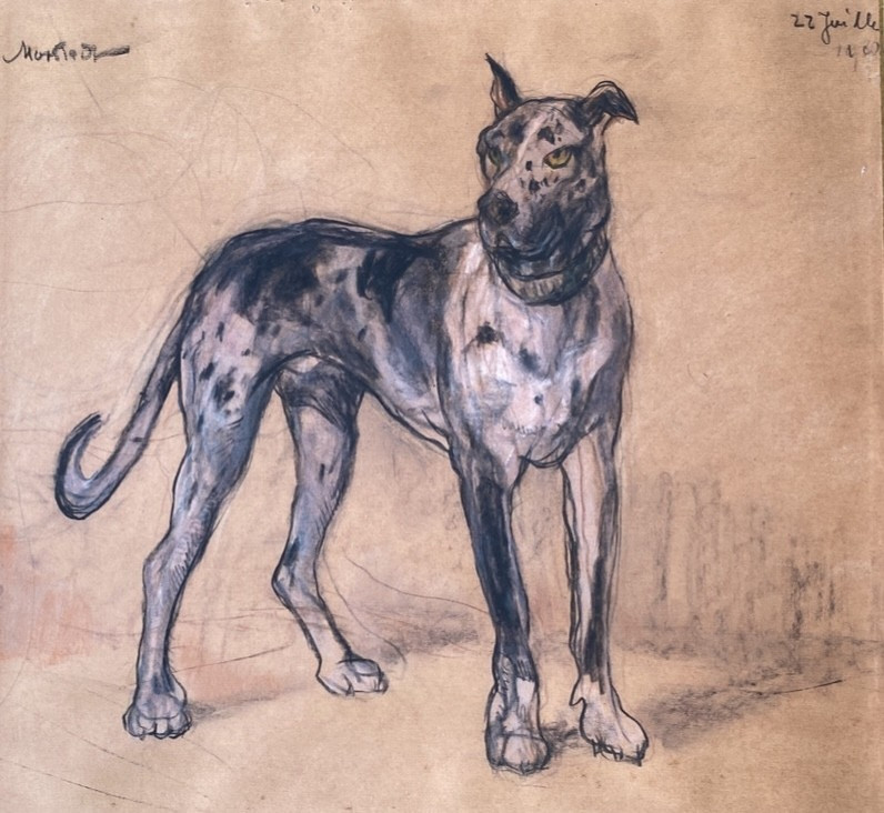 Anna Morstadt (1874-1946) Autrichienne Dogue Allemand 