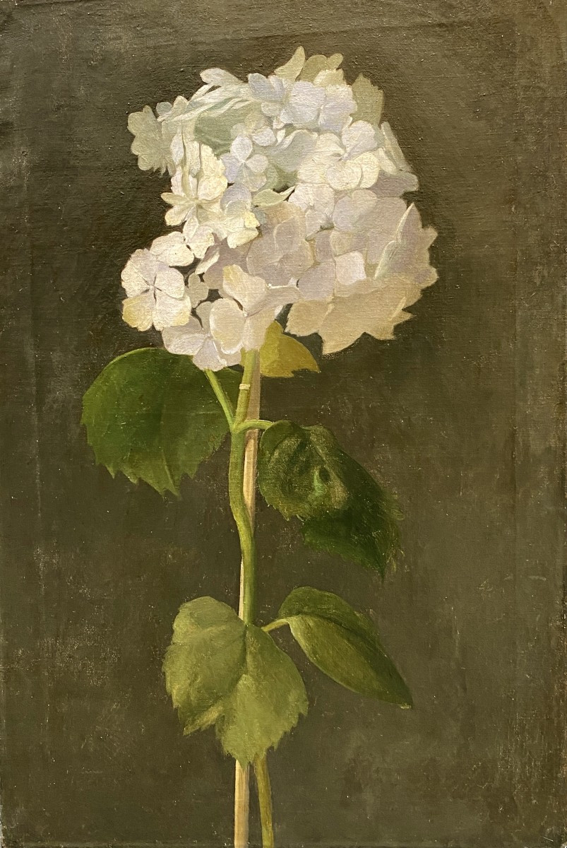 École Française fin XIXème siècle L'hortensia 