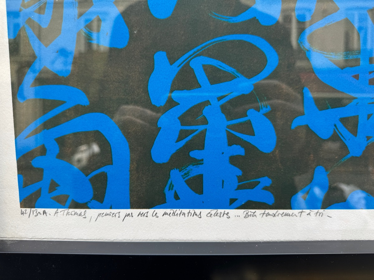 Fabienne VERDIER (1962) Méditations en cobalt (1998) -photo-2