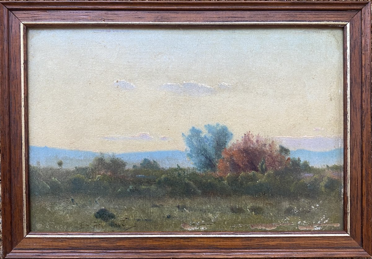 Édouard Athenosy (Saumane 1859 - 1934) Paysage du sud -photo-2
