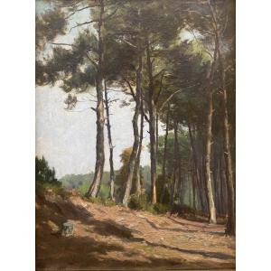 Alexandre de Gassowski (1835 - 1900) Chemin dans la forêt