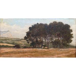 A. Vassel, Landscape Of The South, 20th Century