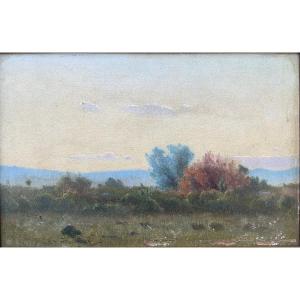 Édouard Athenosy (Saumane 1859 - 1934) Paysage du sud