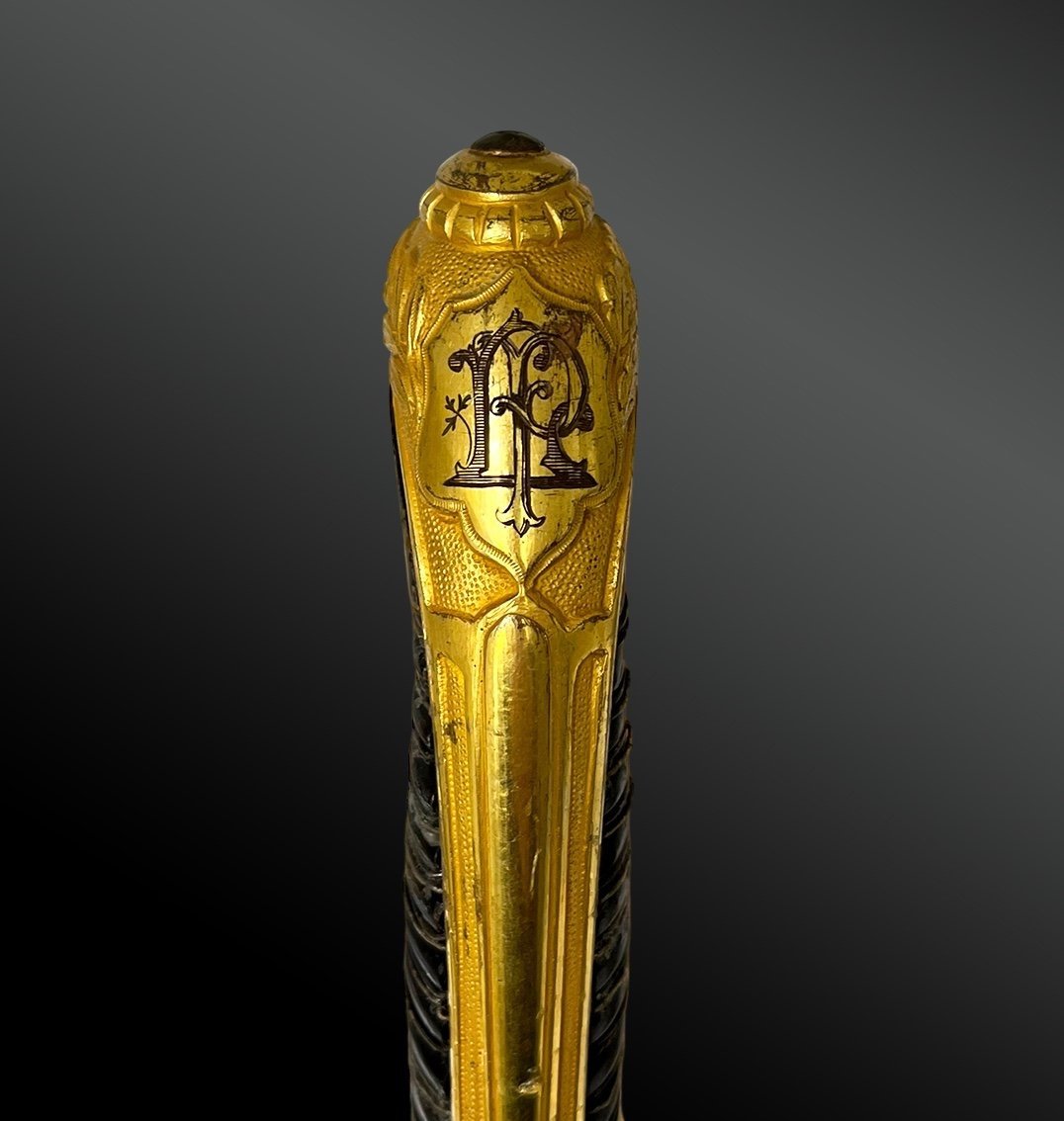 Luxury Superior Officer's Saber By Fauré Lepage-photo-1