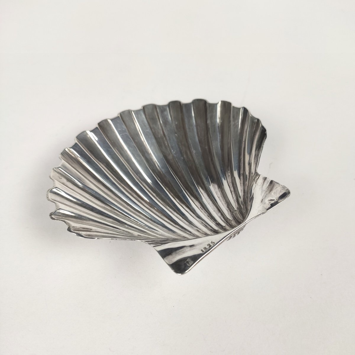 Scallop Shell, Hallmarked, Solid Silver, First Empire.-photo-2