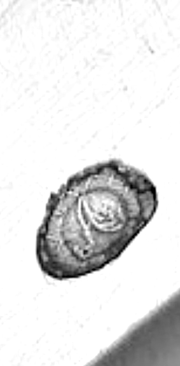 Couteau à fruits en argent massif, Paris 1789-photo-1