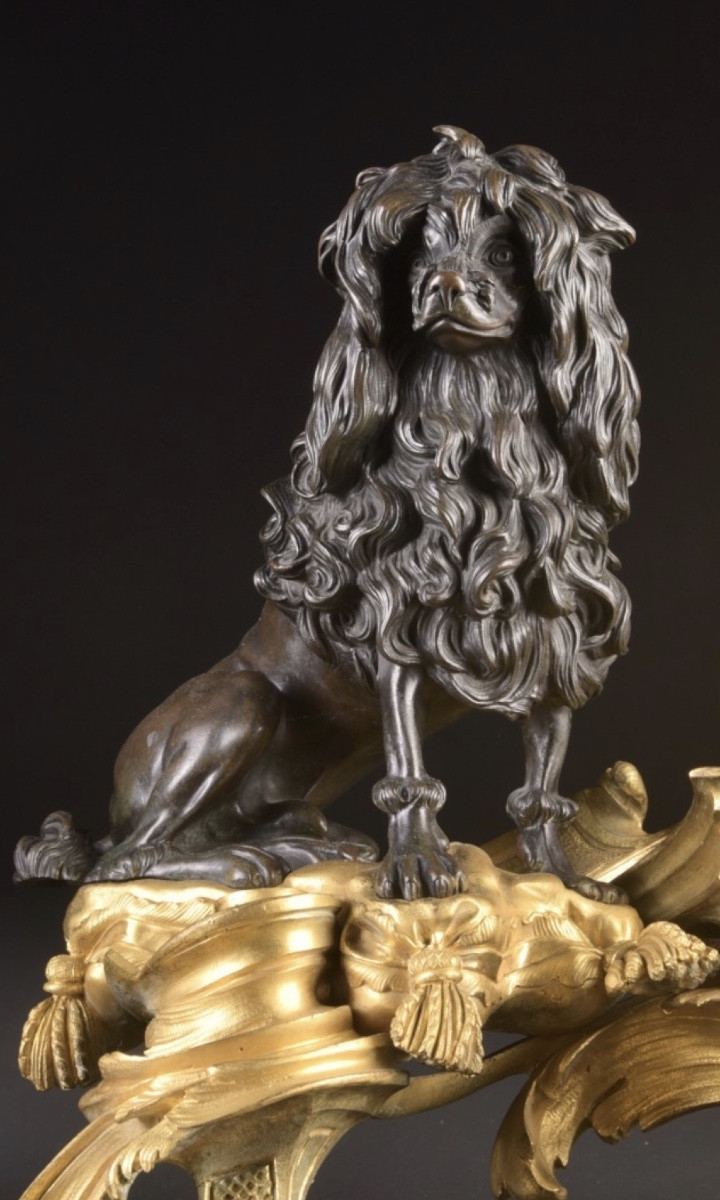 Important Pair Of Gilt And Patinated Bronze Andirons, Maison Beurdeley, Paris, Circa 1860–1870-photo-1