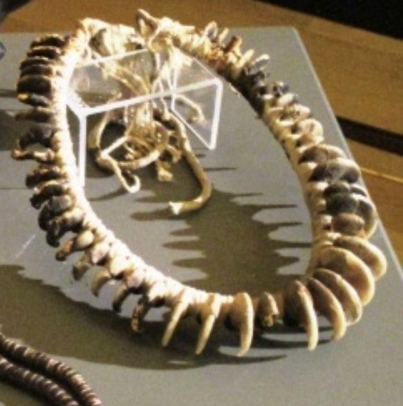 Panther Claw Necklace-photo-3