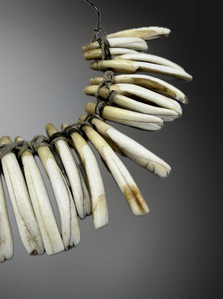 Dog Tooth Collar-photo-3