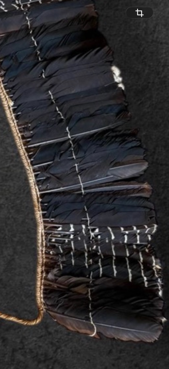 Kayapó Ceremonial Headdress And Original Photograph From The Film Raoni-photo-3