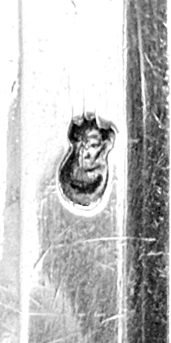 Cuillère à olives en argent — Rouen, 1755-photo-5