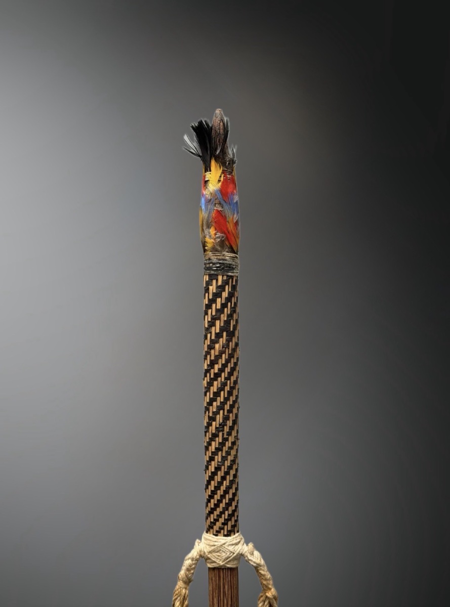 Raoni Metuktire's Personal Staff-photo-2