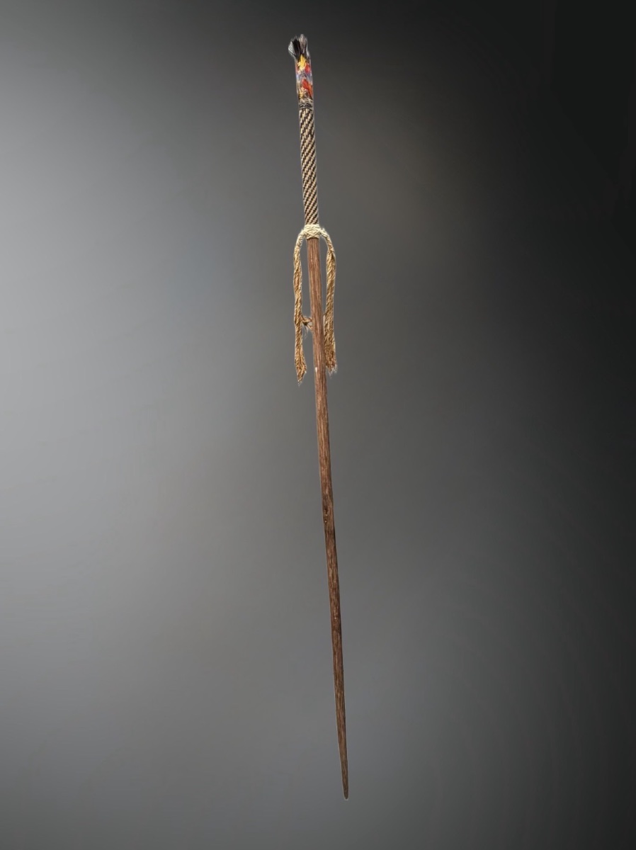 Raoni Metuktire's Personal Staff