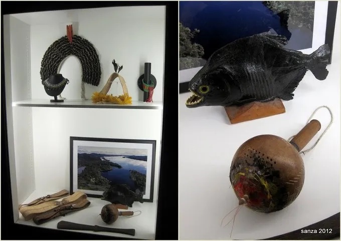 LE HOCHET DE RAONI-photo-2