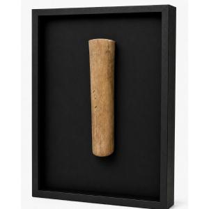 LABRET DE LÈVRE INFÉRIEURE (POTURU)