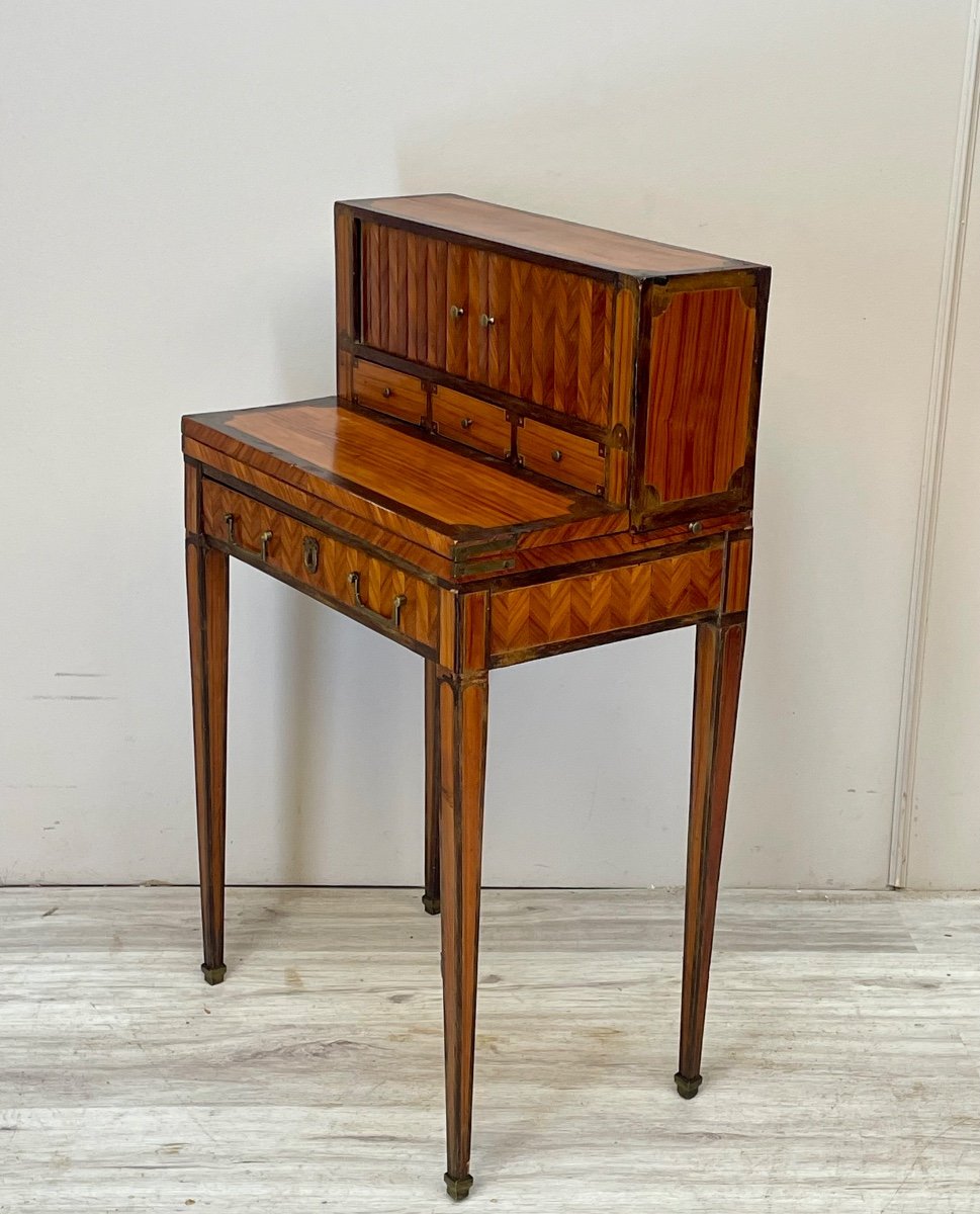 Small Happiness Desk Of The Day In Louis XVI Marquetry-photo-4