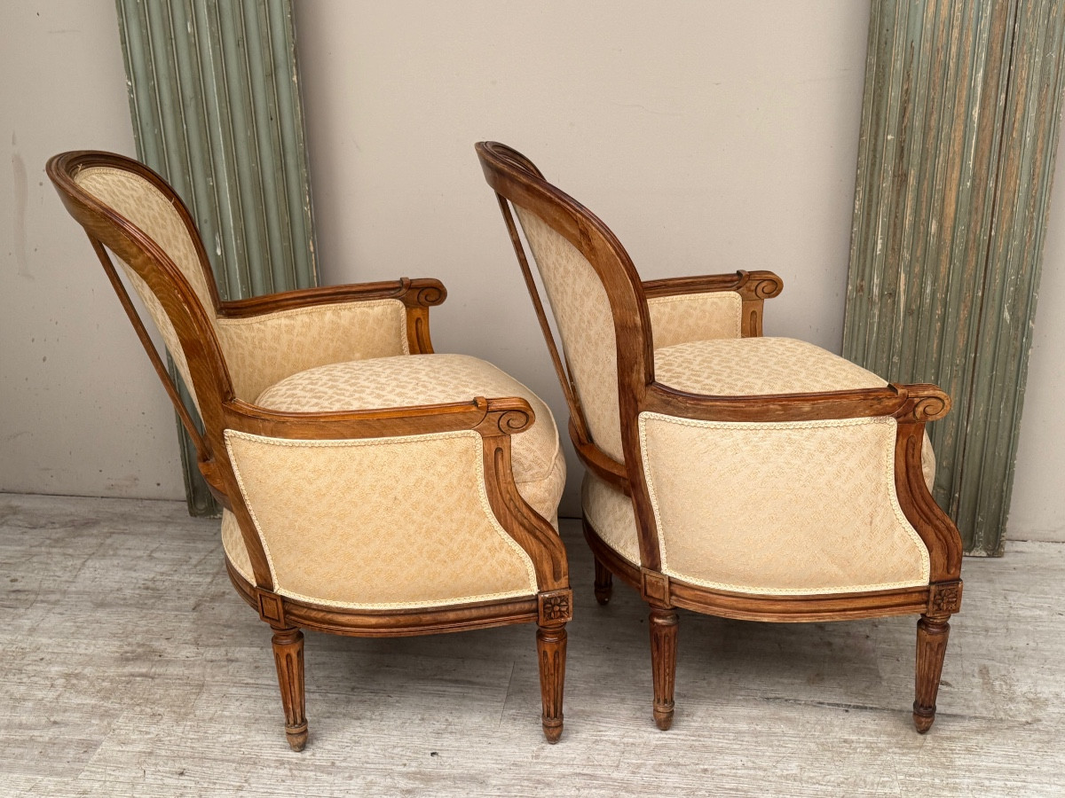 Pair Of Louis XVI Style Armchairs From The Carlton Hotel In Cannes -photo-2