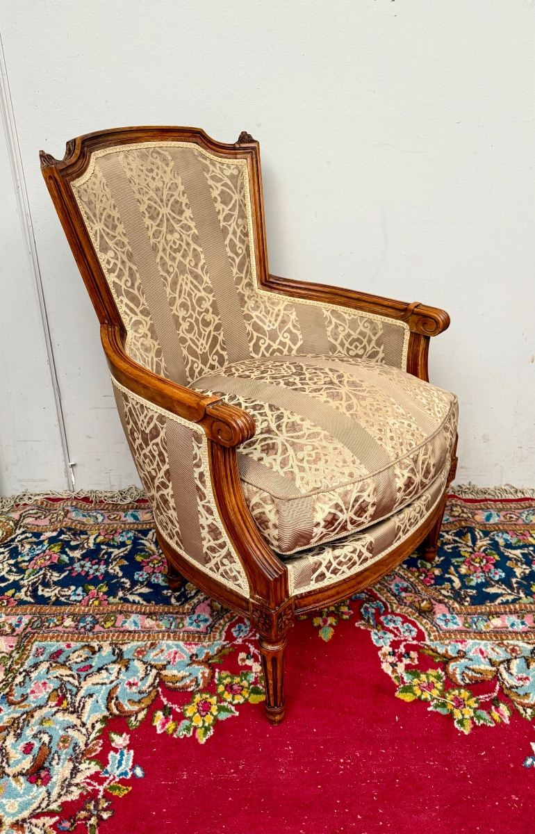 Fauteuil de style Louis XVI hotel Carlton à cannes -photo-2