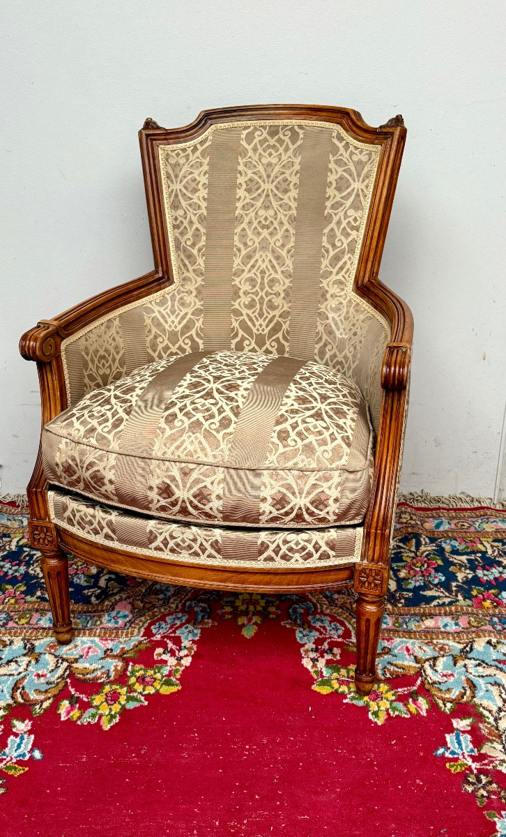 Fauteuil de style Louis XVI hotel Carlton à cannes -photo-1
