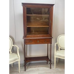 Rare Louis XVI Mahogany Display Case From The 19th Century 