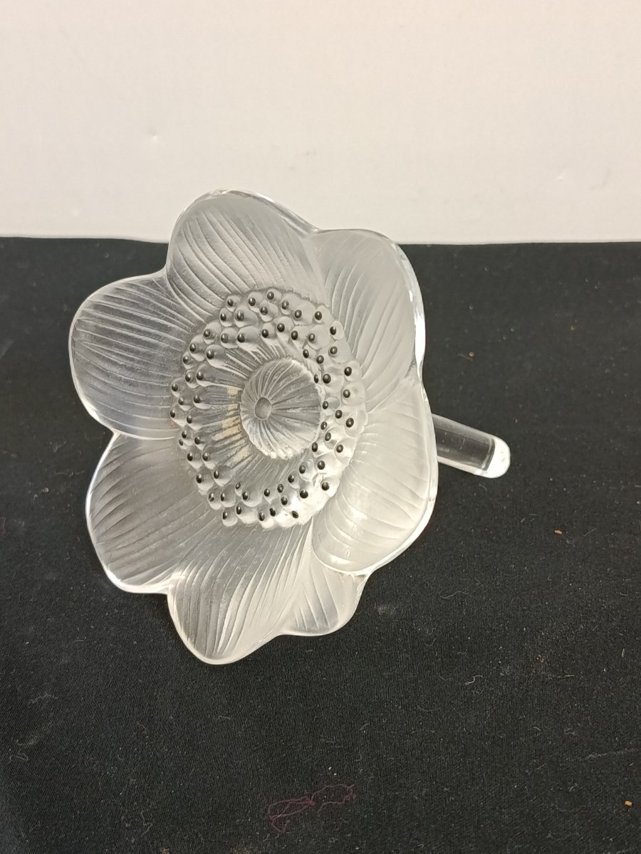 LALIQUE  " anémone " cristal-photo-4
