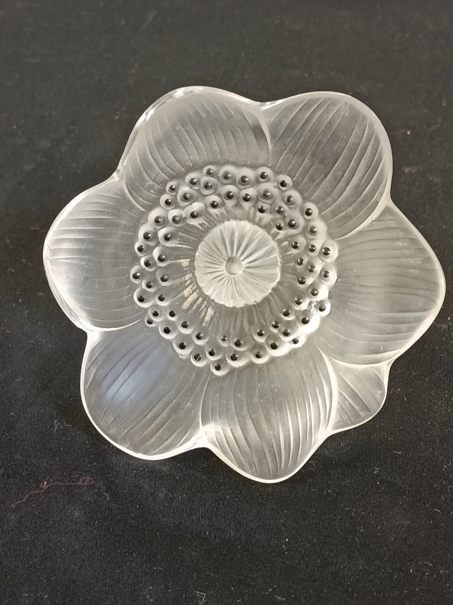 LALIQUE  " anémone " cristal-photo-1