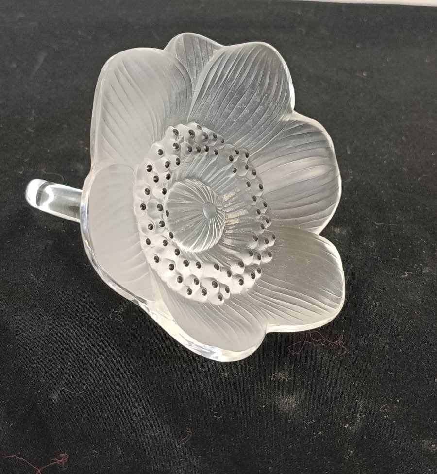 LALIQUE  " anémone " cristal