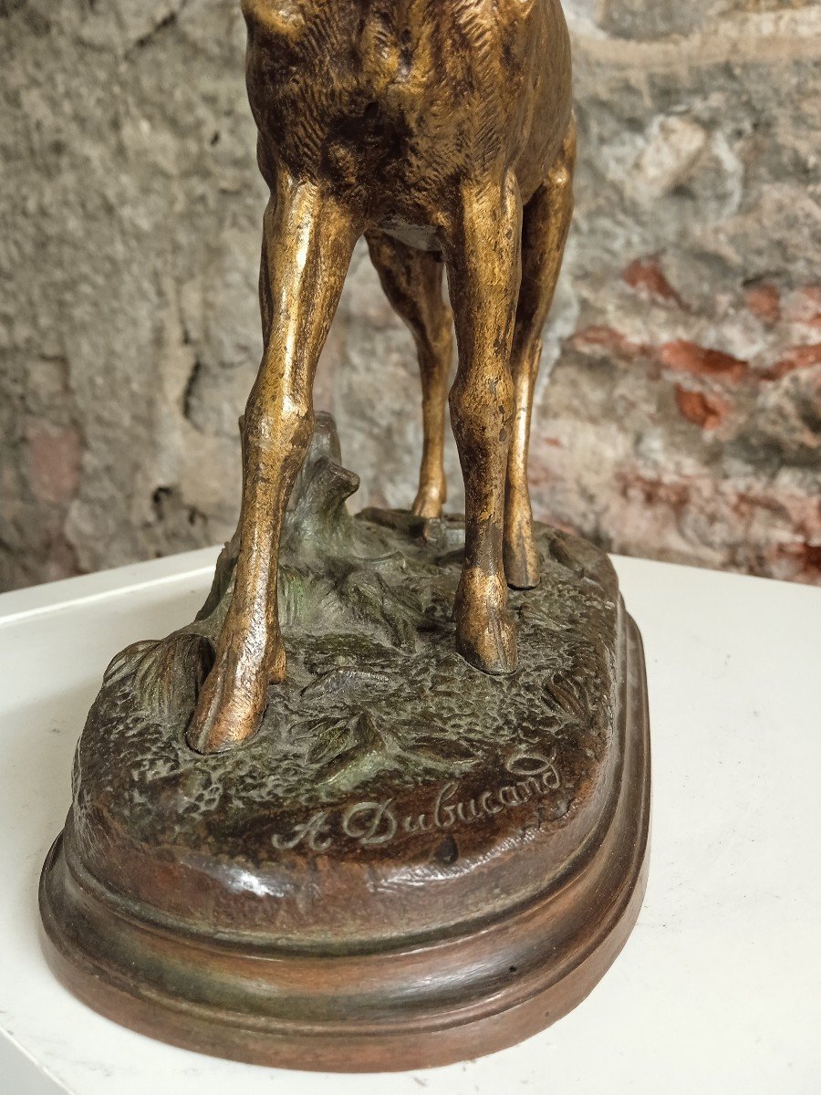 Alfred Dubucand Bronze Animalier Cerf-photo-4