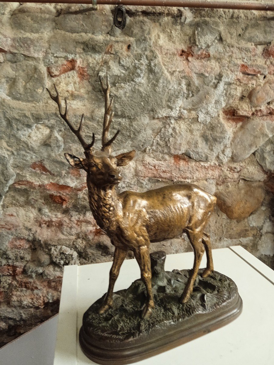 Alfred Dubucand Bronze Animalier Cerf-photo-4