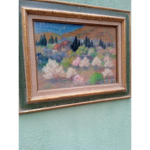 Augustin HANICOTTE  ( 1870  1957   ) pastel  " haut de collioure au printemps "