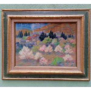 Augustin HANICOTTE  ( 1870  1957   ) pastel  " haut de collioure au printemps "